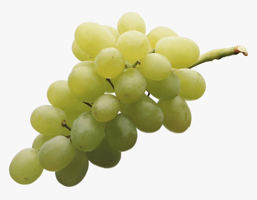 Isolated White Grape - Grapes Png, Transparent Png, Free Download