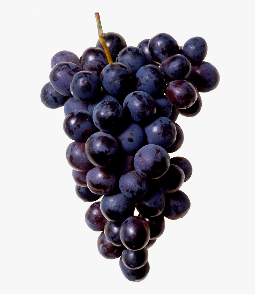 Black Grapes Png Image - Grapes On Transparent Background, Png Download, Free Download