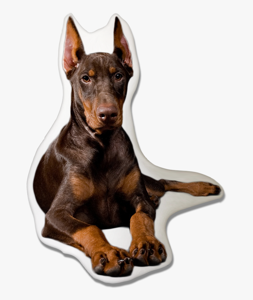 Doberman Pinscher Dog Pillow - Black And Ginger Dog, HD Png Download, Free Download