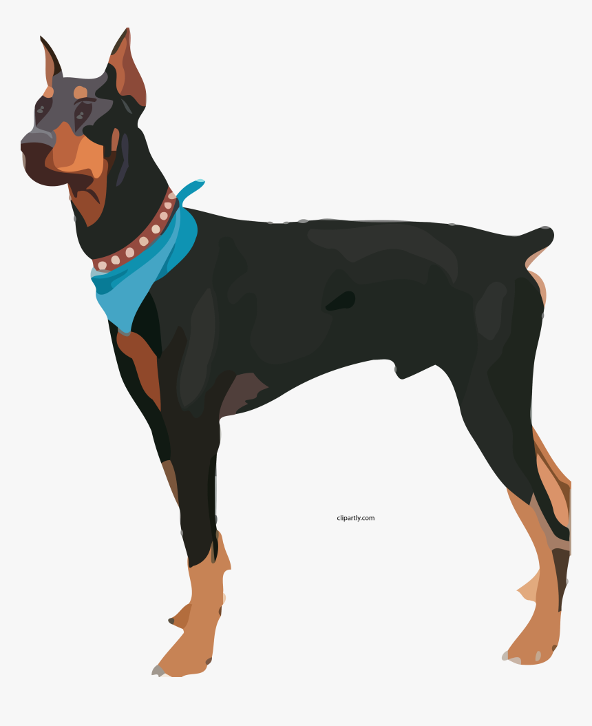 Attack Dog Clipart Png - Doberman Pinscher Dog Clipart, Transparent Png, Free Download