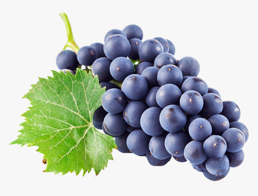 Grape Png Image & Grape Clip Art - Grape Transparent, Png Download, Free Download