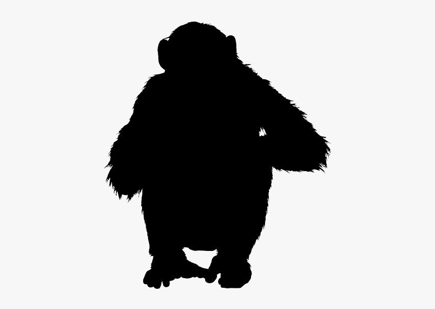 Sitting Monkey Png - Monkey Transparent, Png Download, Free Download