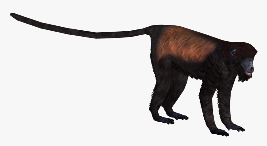 Howler Monkey Png - Black Howler Monkey Png, Transparent Png, Free Download