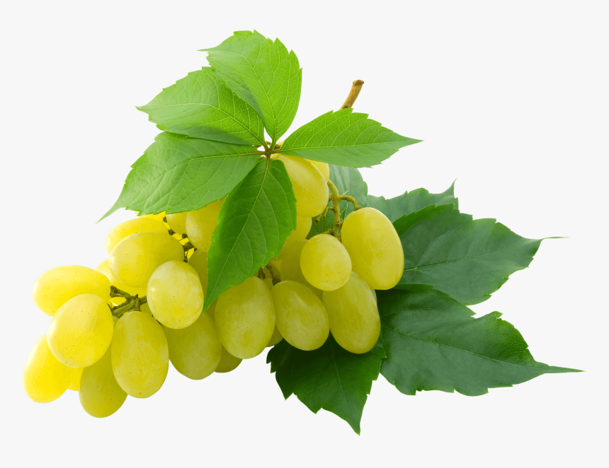 White Grape - Green Grapes Png, Transparent Png, Free Download