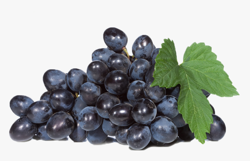 Black Grapes Png Image Download - Seedless Fruit, Transparent Png, Free Download