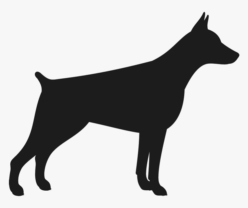 Identify The Dog Breed By Its Silhouette Quiz Answers, HD Png Download, Free Download