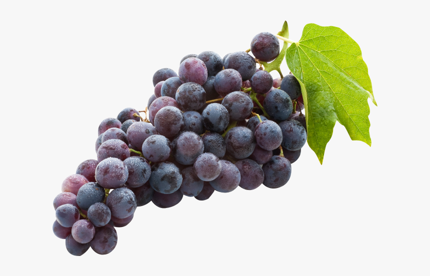 Grapes Black Seedless, HD Png Download, Free Download