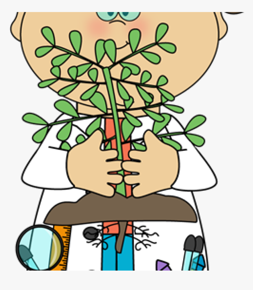 Science Clip Art Free Science Clip Art Science Images - Metabólitos Secundários Das Plantas, HD Png Download, Free Download