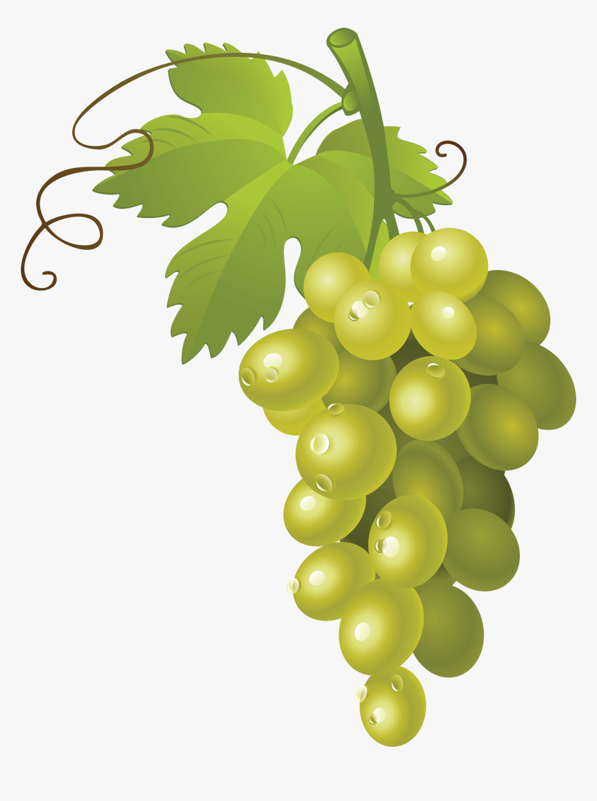 Grape Png Image - Vector Grapes Png, Transparent Png, Free Download