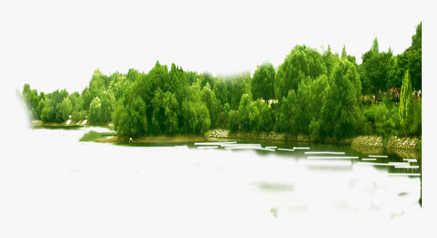 Forest Png Hd - Transparent Background Forest Png, Png Download, Free Download