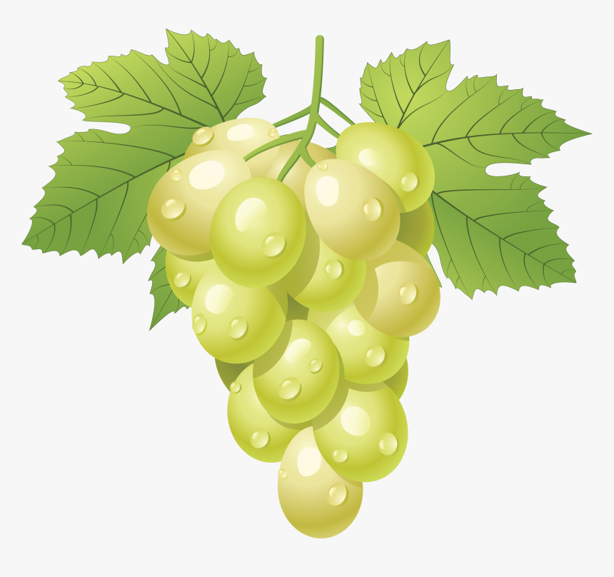 Grapes Grape Image Picture Download Download Png Clipart - White Wine Grapes Clip Art, Transparent Png, Free Download