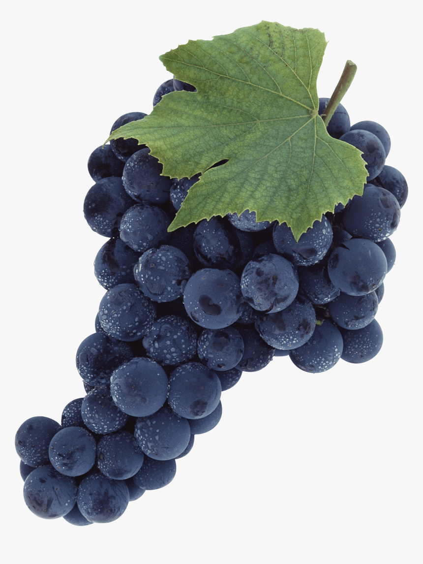 Grape Clip Art - Winegrapes Png, Transparent Png, Free Download