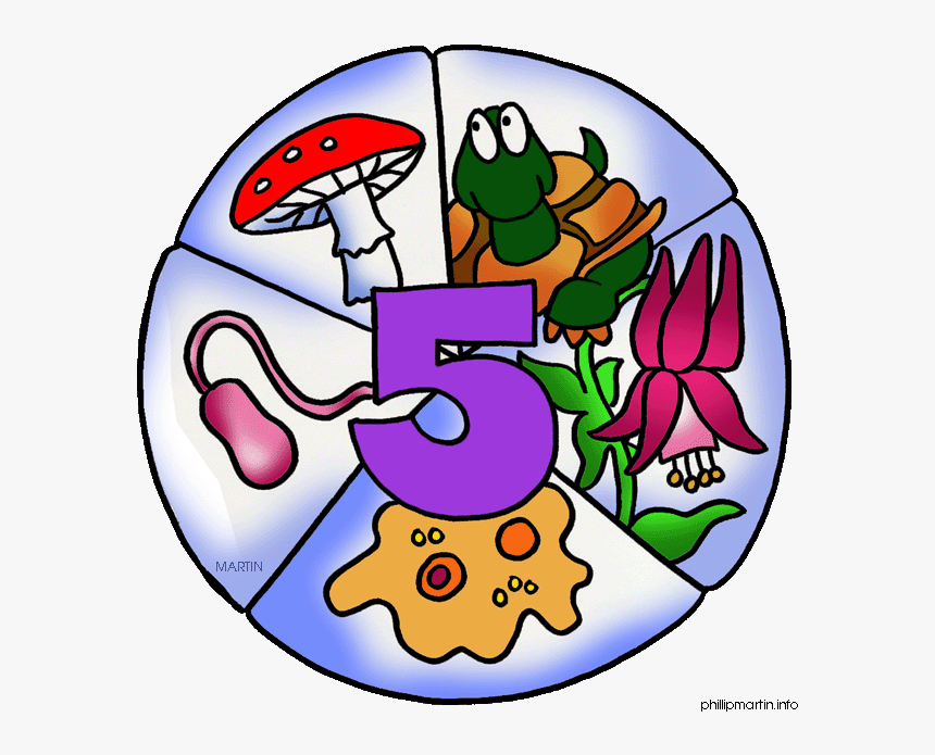 Transparent Science Clipart - Five Kingdoms Science, HD Png Download, Free Download