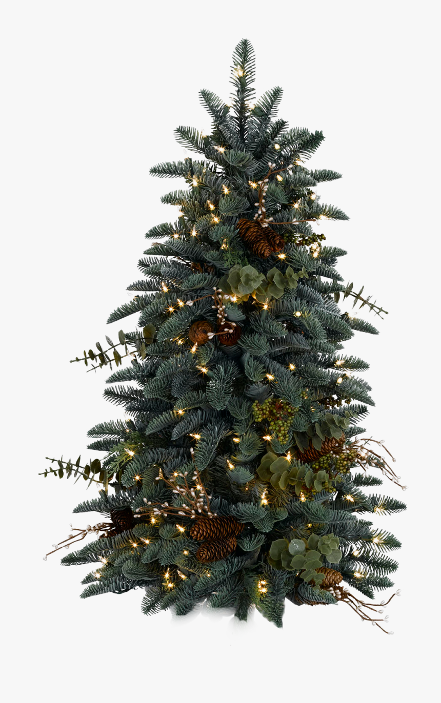 Christmas Tree Png Real, Transparent Png, Free Download