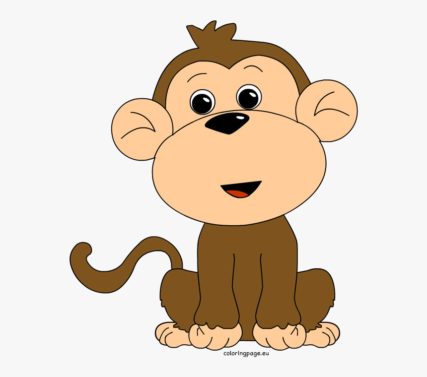 Transparent Hanging Monkey Png - Monkey And Turtle Clipart, Png Download, Free Download