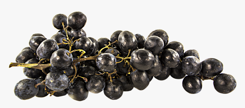 Fruit, Grapes, Png, Cutout, Transparent, Vitis - Anggur Png, Png Download, Free Download