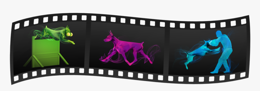 Picture - Dog, HD Png Download, Free Download