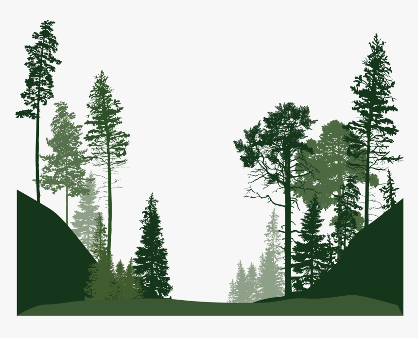 Forest Trees Png - Forest Trees Silhouette Png, Transparent Png, Free Download
