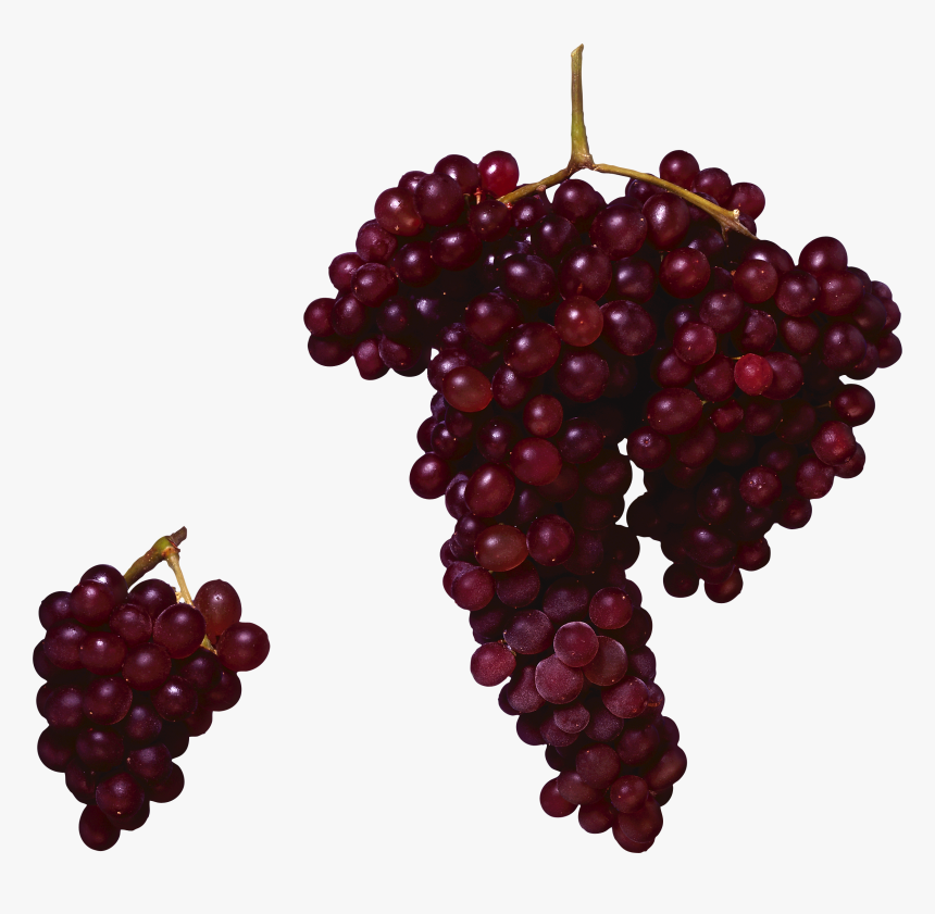 Wine Grapes Png, Transparent Png, Free Download