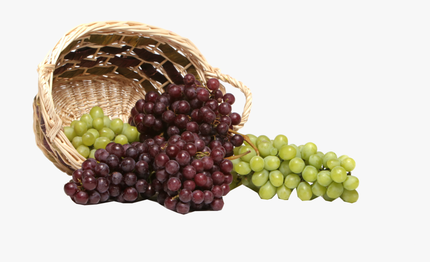 Grapes Scenery, HD Png Download, Free Download