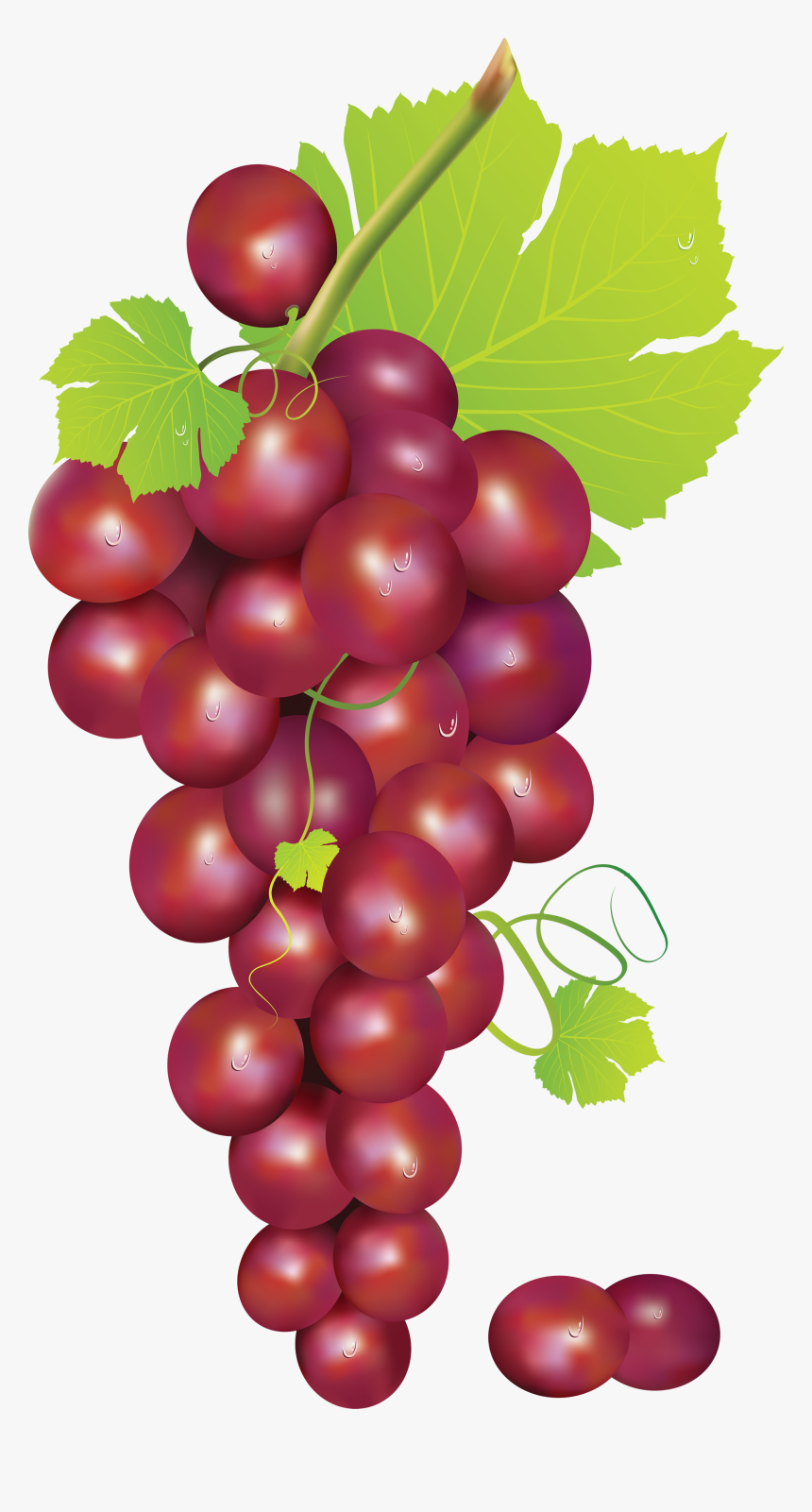 Red Grapes Png - Grape Clipart, Transparent Png, Free Download