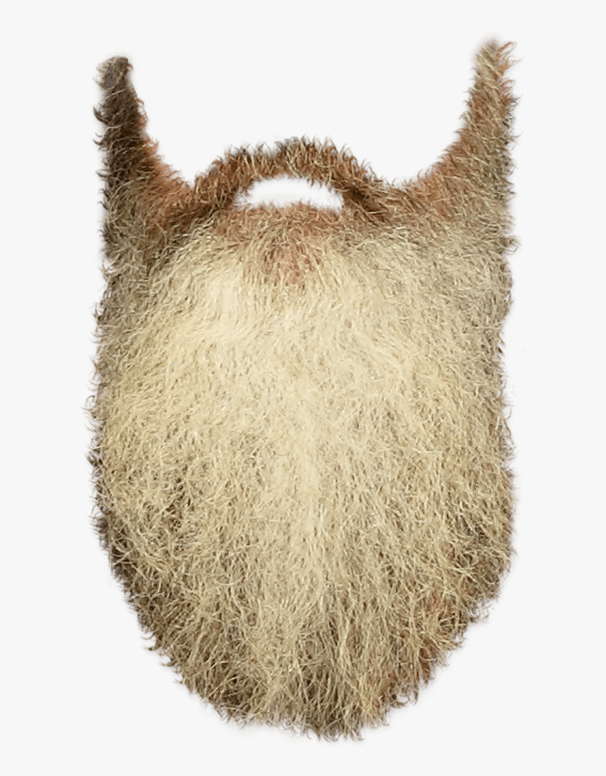 Download Beard Png File For Designing Purpose - Long Beard Transparent Background, Png Download, Free Download
