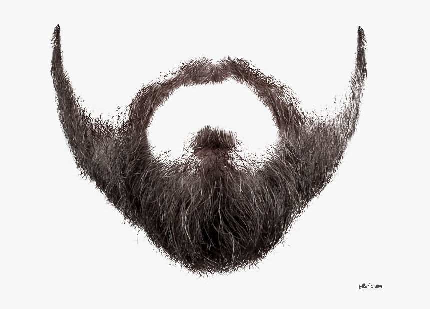 Transparent Realistic Mustache Png - Beard Transparent Png, Png Download, Free Download