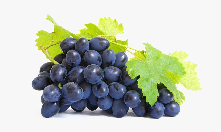 Grapes Seed Extract, HD Png Download, Free Download