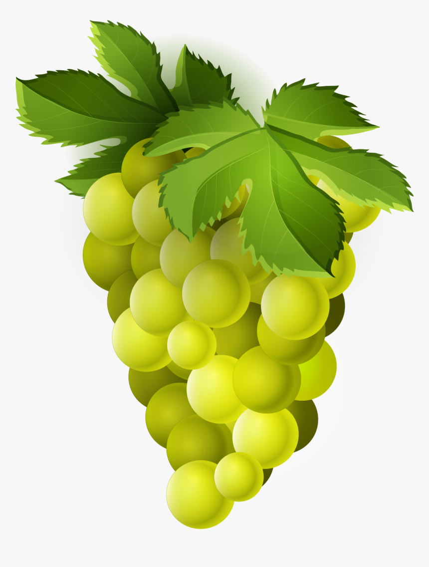 Grape Png Transparent Free Images - Green Grapes Clip Art, Png Download, Free Download