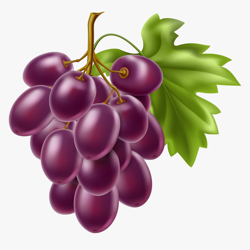 Fruit Clipart Grape - Clipart Fruit Png, Transparent Png, Free Download