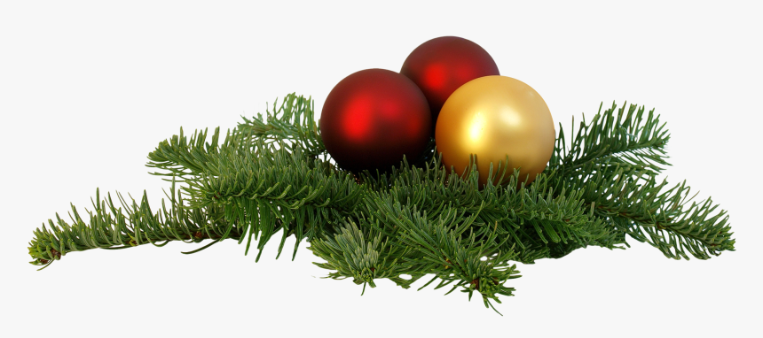 Christmas Branch Png Transparent Image - Christmas Png Transparent Background, Png Download, Free Download