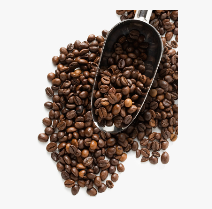 Coffee Beans Png Free Download - Coffee Beans Image Png, Transparent Png, Free Download