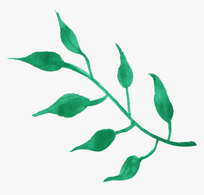 Png Transparent Leaf Watercolor Png, Png Download, Free Download