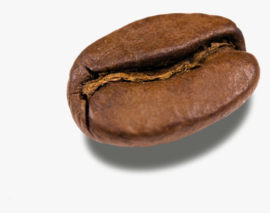 Coffee Beans Png Transparent Images - Coffee Bean Png, Png Download, Free Download
