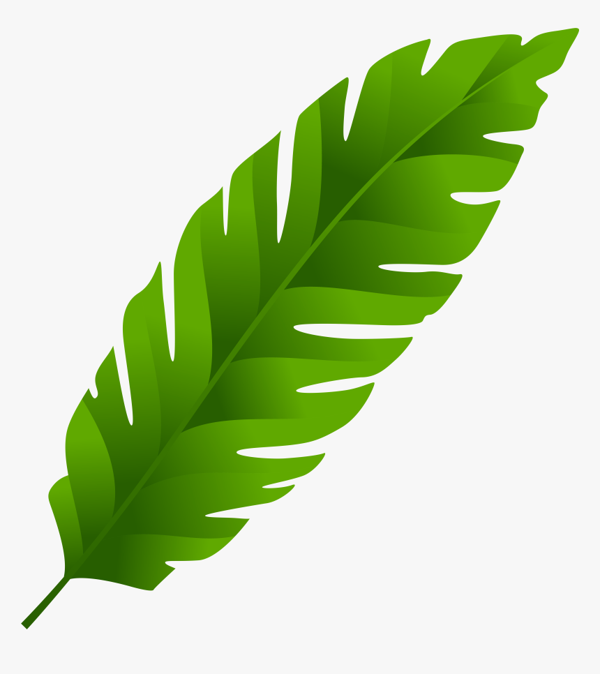 Green Leaf Png Clip Art, Transparent Png, Free Download