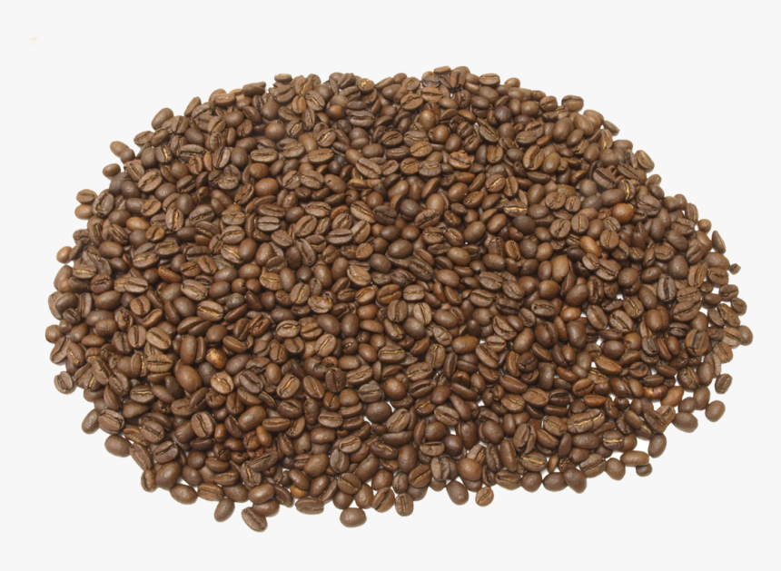 Seed, HD Png Download, Free Download