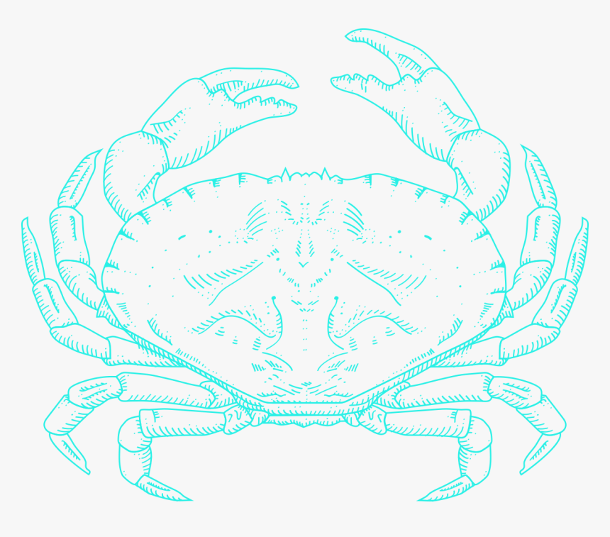 Freshwater Crab, HD Png Download, Free Download