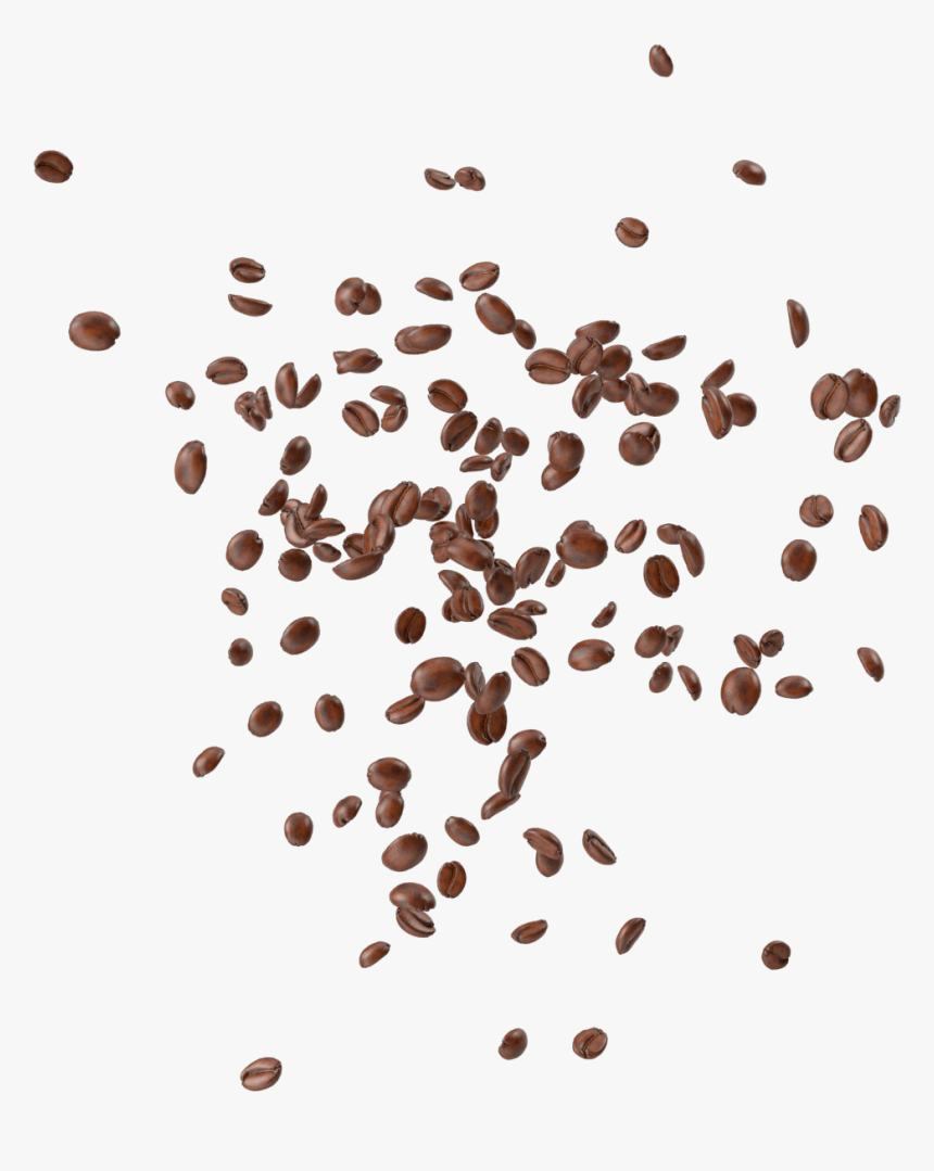 Coffee Beans - Coffee Bean, HD Png Download, Free Download