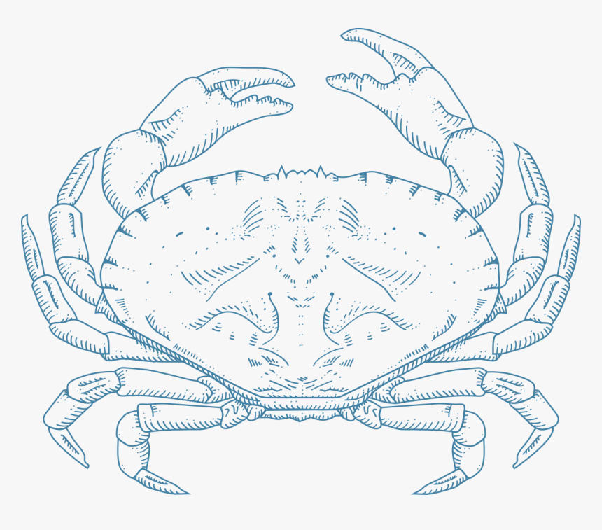 Dungeness Crab, HD Png Download, Free Download