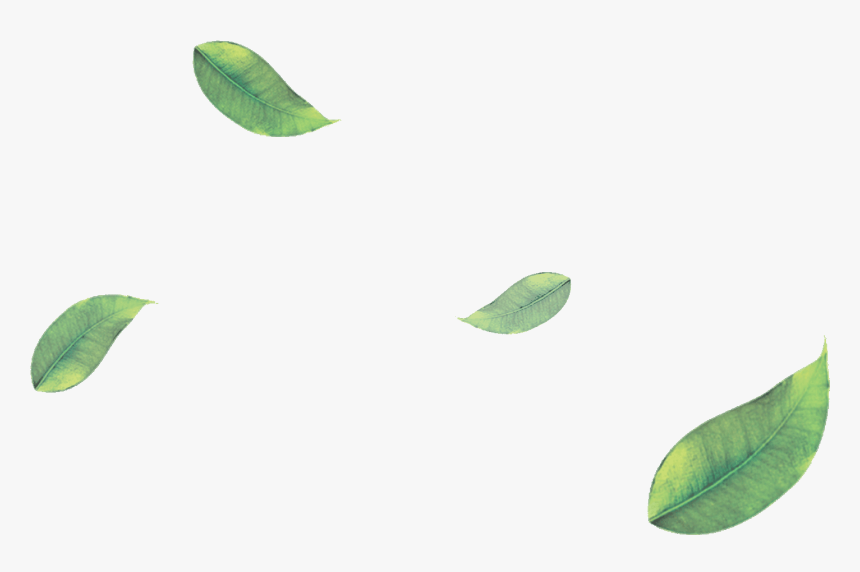 Green Leaf Png Pic - Falling Leaves Green Png, Transparent Png, Free Download