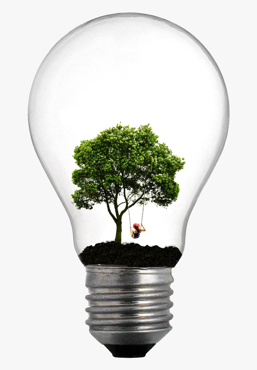 Incandescent Light Bulb Tree Lamp Lighting - Things Inside A Light Bulb, HD Png Download, Free Download