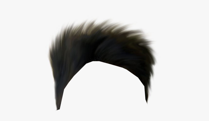 Hair Png Transparent Image - Hair Png Images Boy, Png Download, Free Download