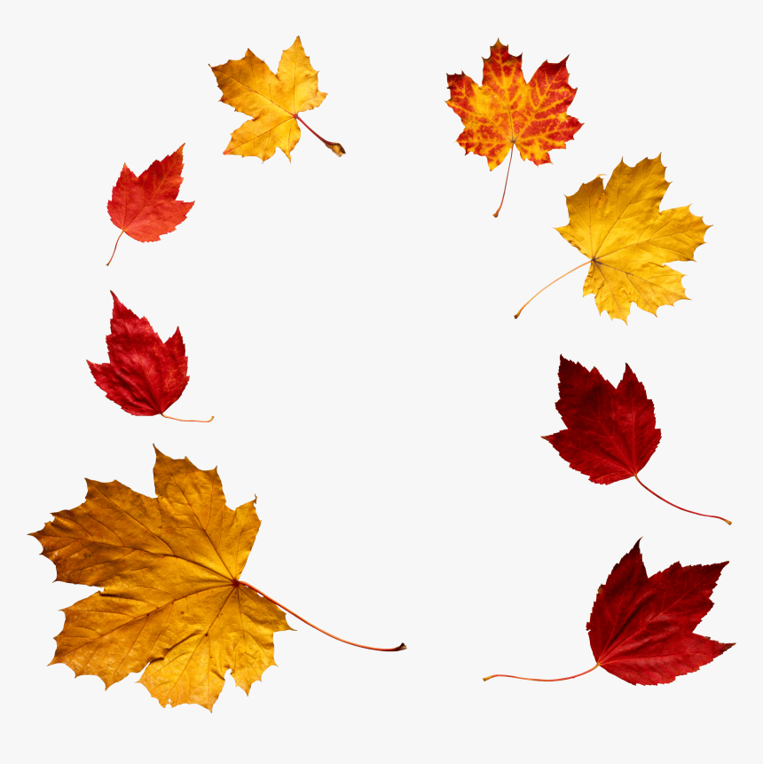 Autumn Leaves Circle, HD Png Download, Free Download