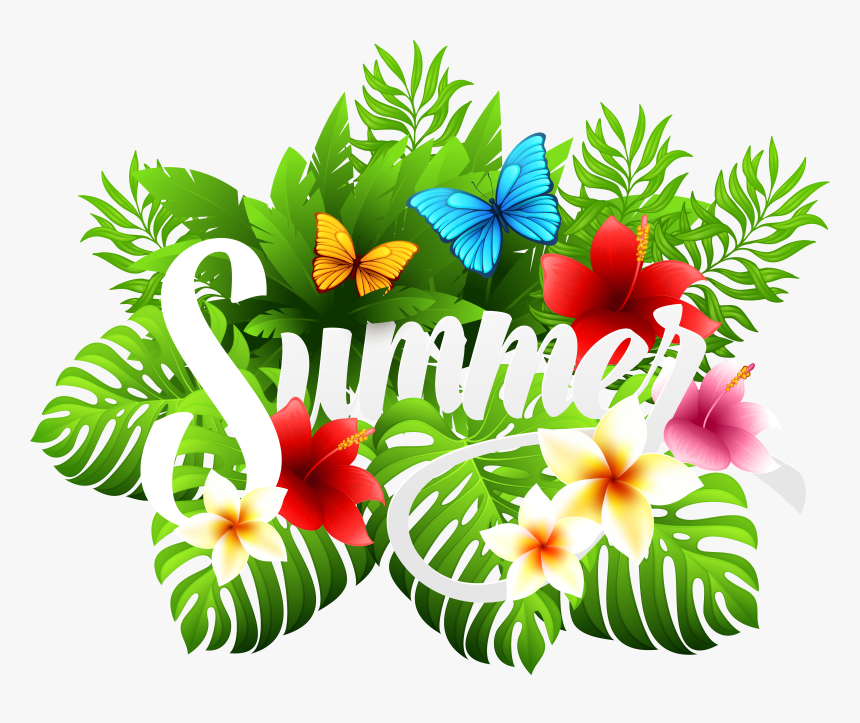 Summer Clipart Party, HD Png Download, Free Download