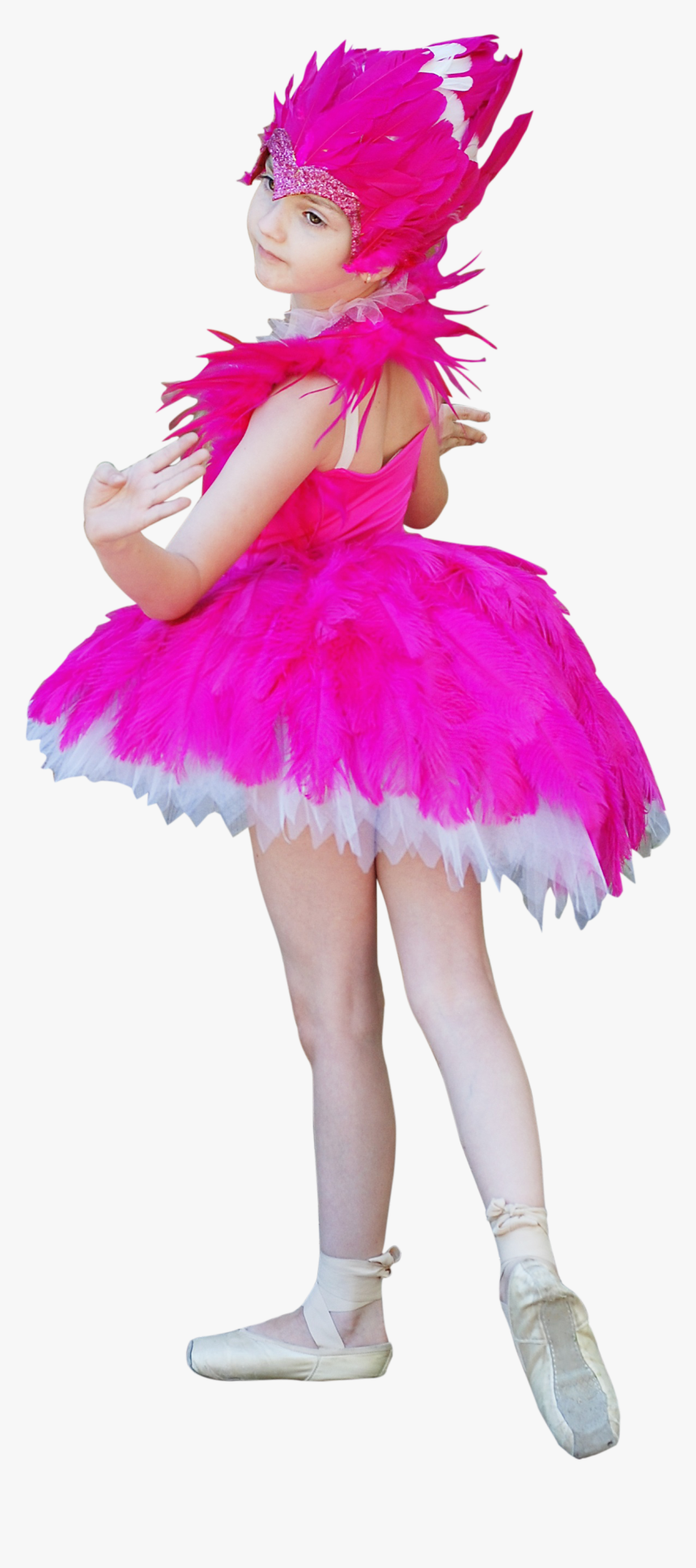 Transparent Pink Tutu Png, Png Download, Free Download