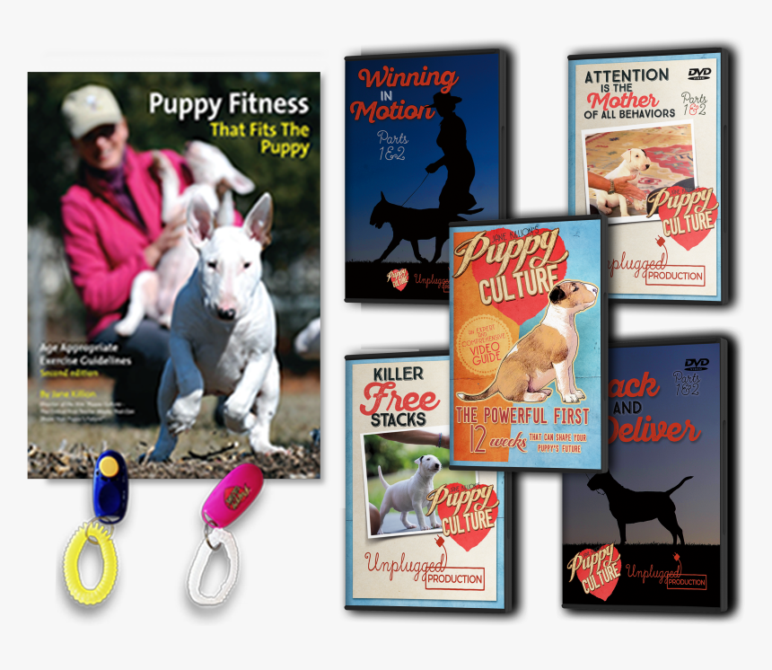 Rock Star Png, Transparent Png, Free Download