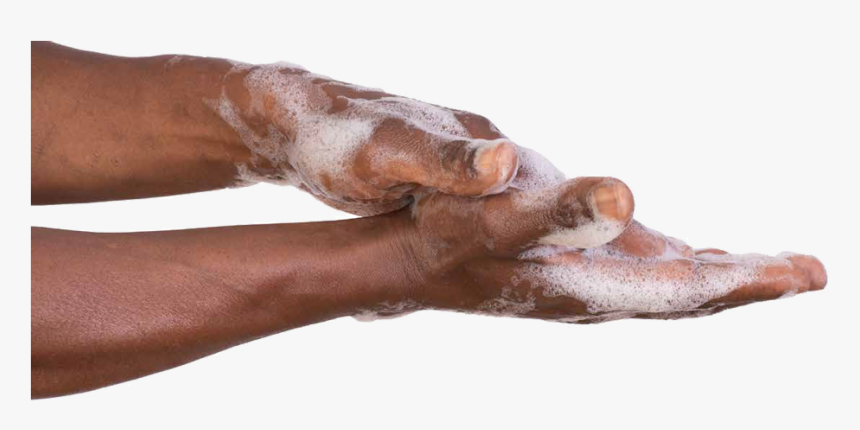 Washing Hands Png, Transparent Png, Free Download