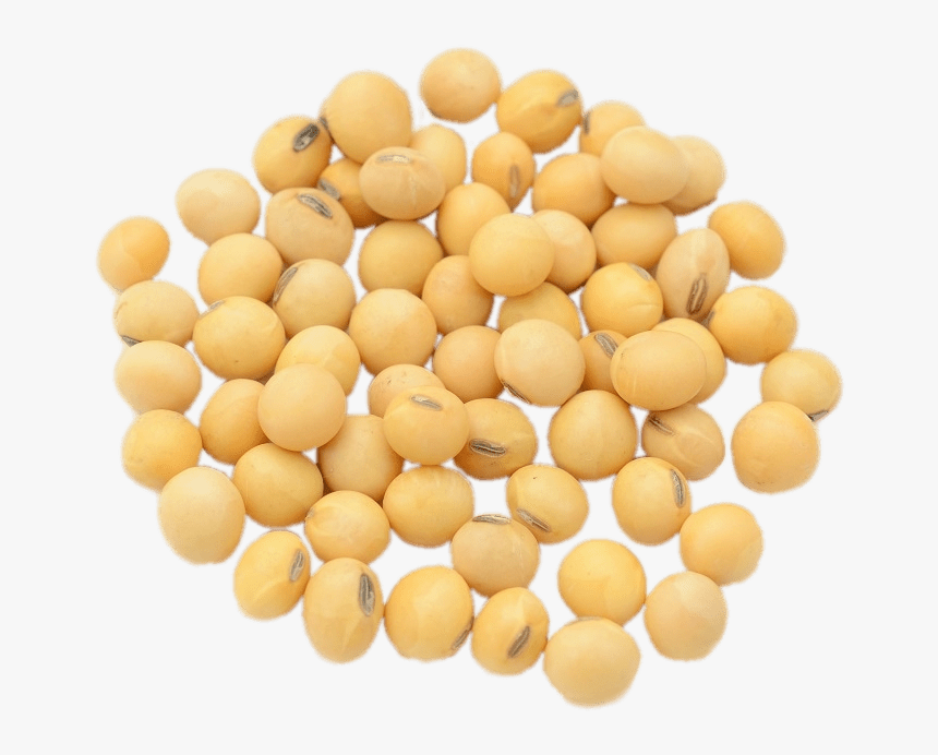 Dried Soybeans, HD Png Download, Free Download