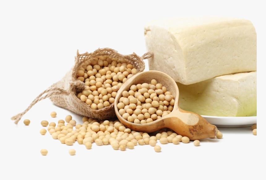 Soybean Png Pic, Transparent Png, Free Download