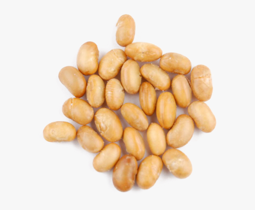 Soybean Png File, Transparent Png, Free Download